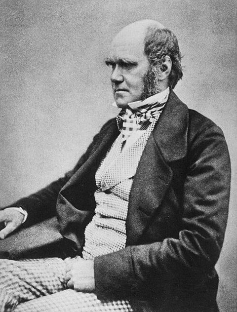 Portrait de Charles Darwin