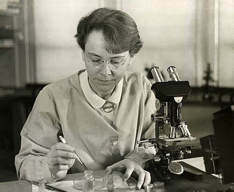 Portrait de Barbara McClintock